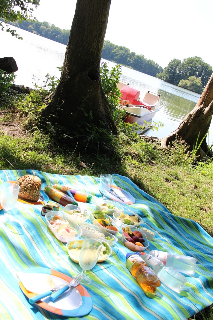 Prächtige Picknickplätze in Schleswig-Holstein