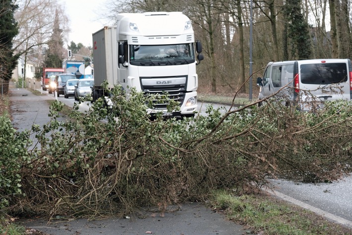 "Friederike": Provinzial Rheinland erwartet Schäden von bis zu 80 Millionen Euro