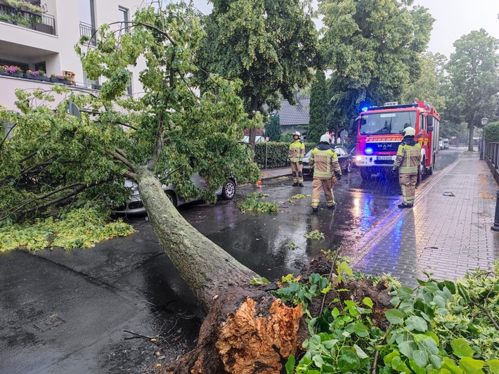 FW Dresden: Mehrere sturmbedingte Einsätze im Stadtgebiet