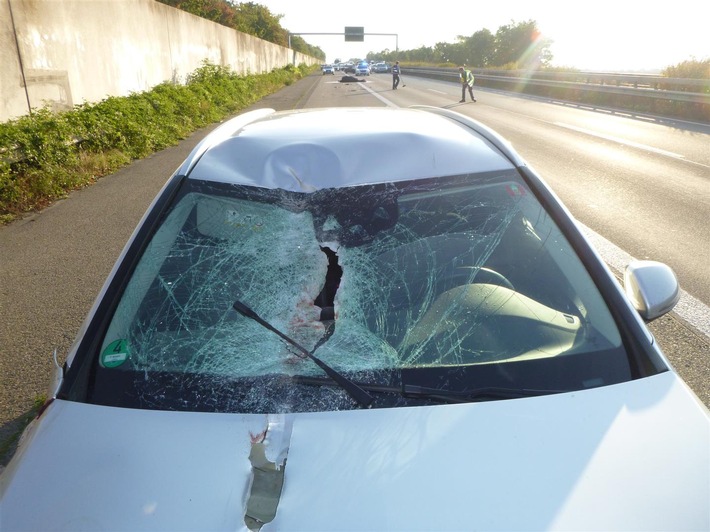 POL-VDMZ: Bingen, Pferd auf der Autobahn / Verkehrsunfall mit Vollsperrung