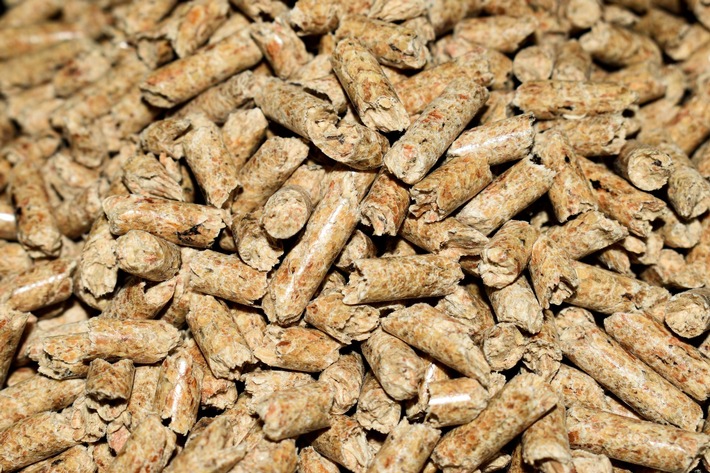 Entwurf des Gebäudemodernisierungsgesetzes droht Heizen mit Holz auszuschließen