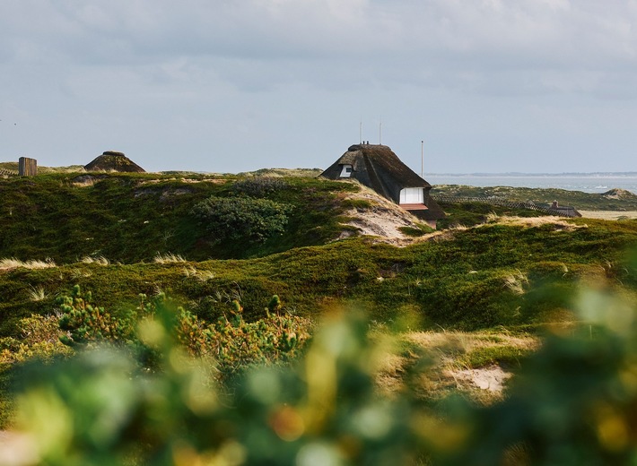 Ein Ansprechpartner für alle