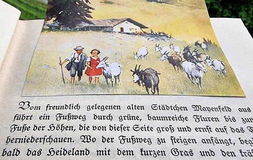 UNESCO-Auszeichnung Heidi: Die Heidi-Stiftung will das Kulturerbe von Johanna Spyri für Graubünden stärken