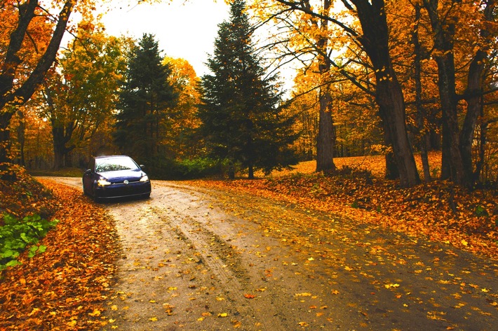 Die richtigen Reifenmodelle für nasse Herbststrassen – Aufgepasst, wer oft durch belaubte Strassen fährt