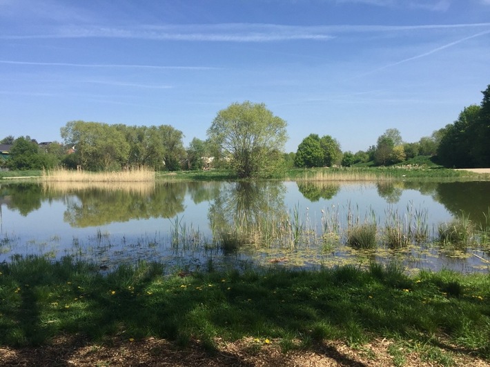 Klimaanpassung erlebbar machen: Aktionsmonat in Wörrstadt