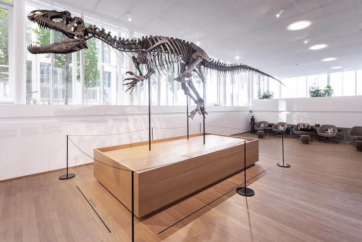 Ein Dino fürs neue Naturhistorische Museum Basel