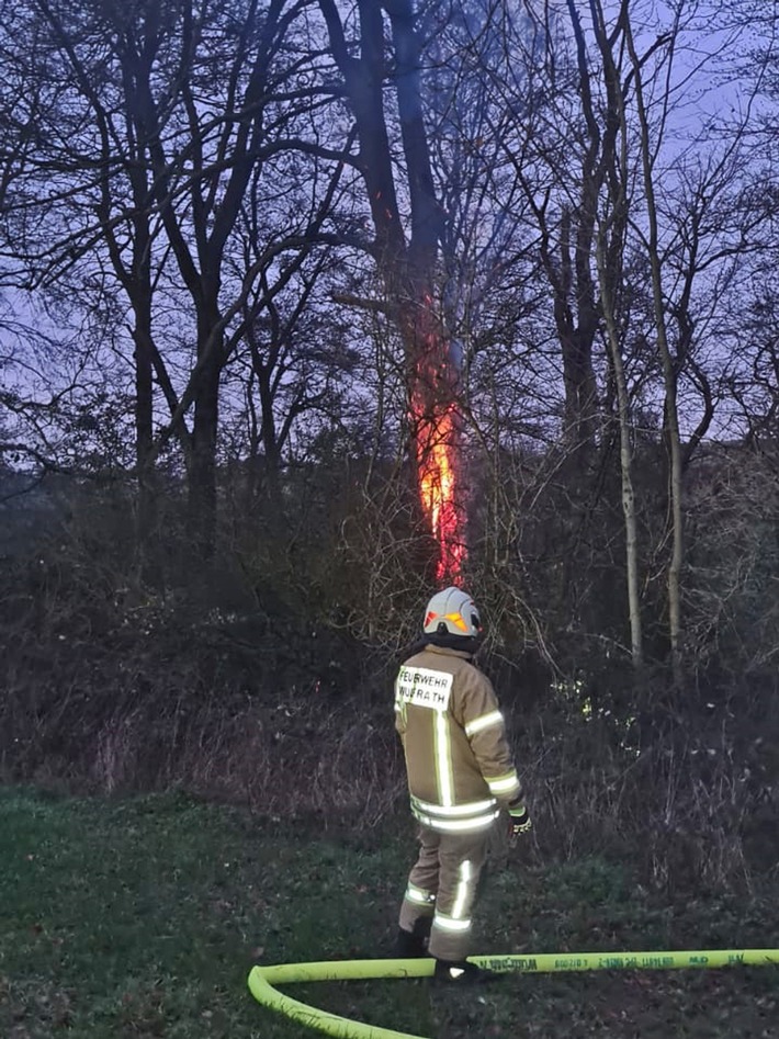 POL-ME: Ein brennender Baum lässt die Polizei ermitteln - Wülfrath - 2101024 (FOTO)