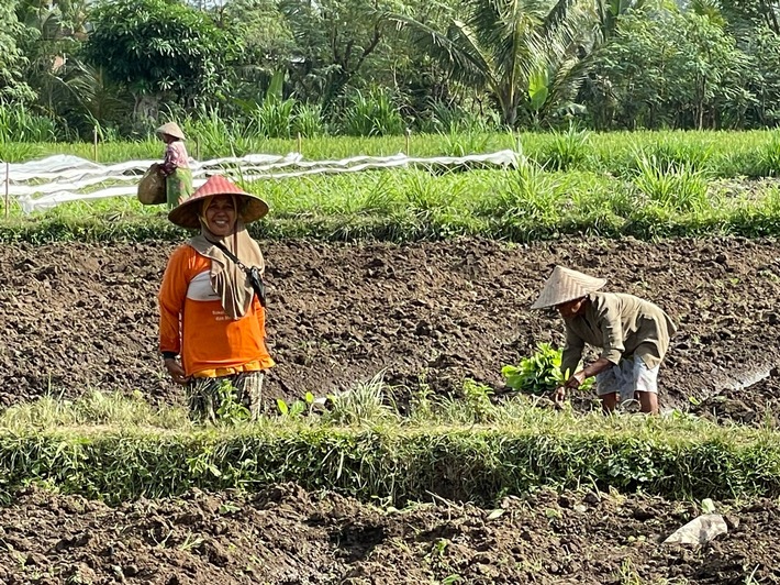 Neues Video aus Jineng auf Lombok: Einblicke in den Alltag vor Ort