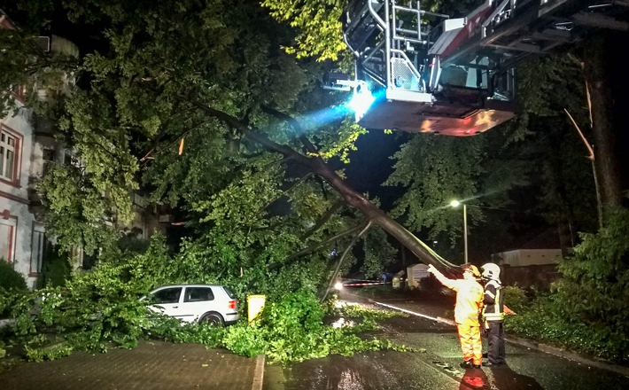 FW-GE: Umgestürzte Bäume blockieren Straßen in Gelsenkirchen