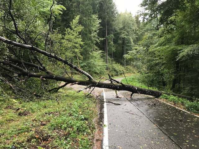 POL-PDLD: Edenkoben. Unwetter hält Polizei auf Trapp