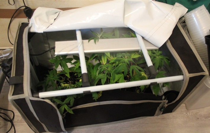 POL-HA: Cannabispflanzen in Wohnung eines 38-Jährigen gefunden - Einsatz wegen eines ausgelösten Rauchmelders