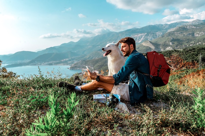 Ferien mit dem Hund: Mit guter Planung stressfrei reisen