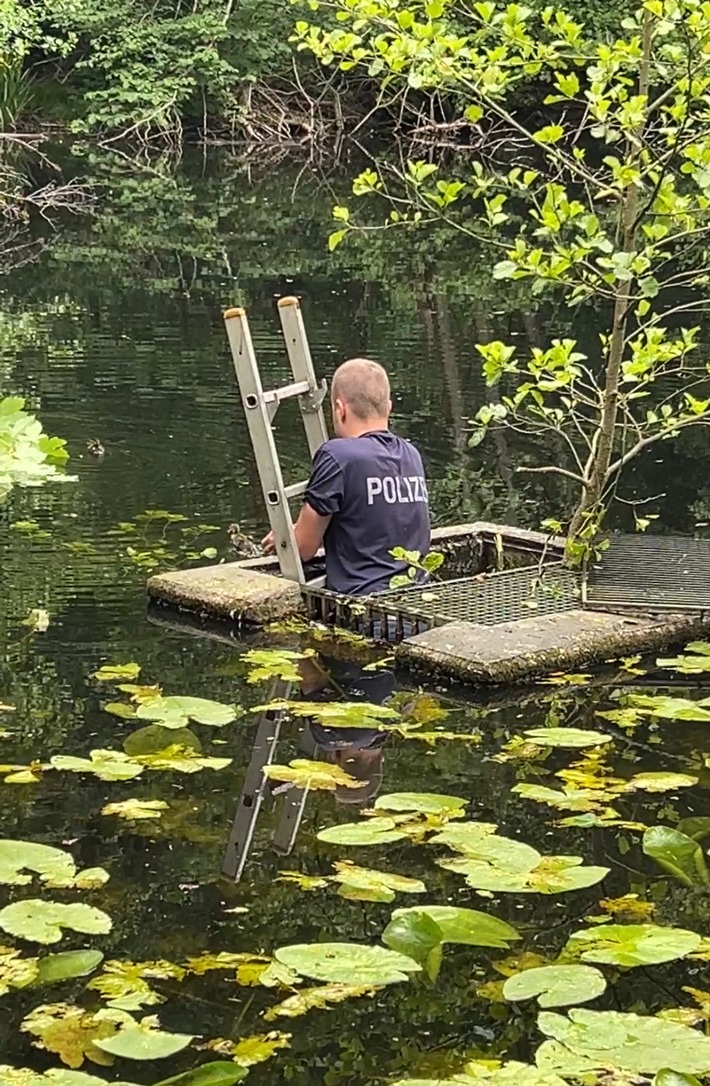 POL-PDTR: Ente gut, alles gut.... spektakuläre Entenbabyrettung am Schlossweiher