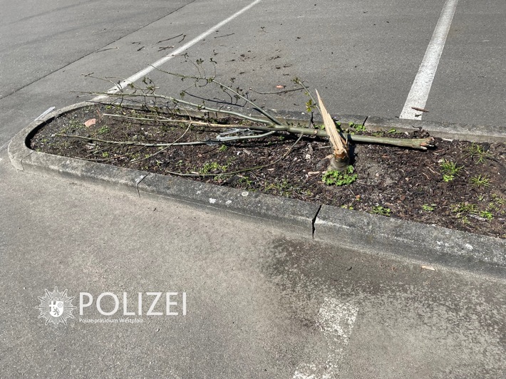 POL-PPWP: Baum umgenietet