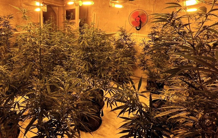 LPI-NDH: Umfangreicher Polizeieinsatz - erneuter Schlag gegen die Betäubungsmittelkriminalität in Nordthüringen