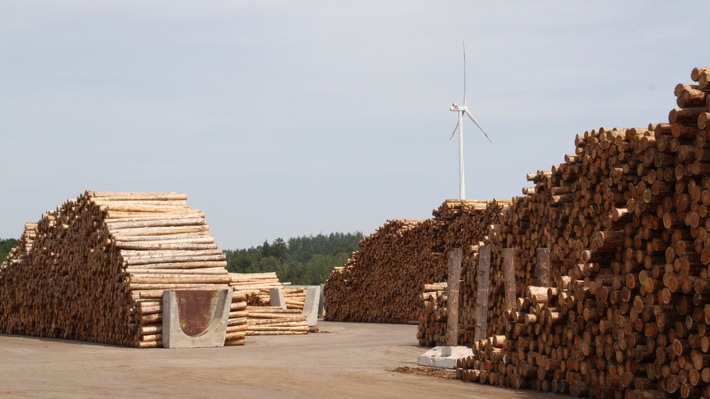 Klimaziele erfordern Gesamtrahmen für Wald und Holz