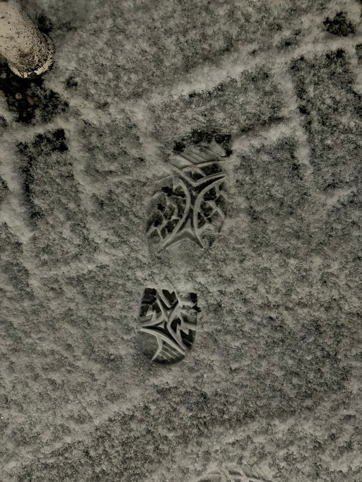 POL-HAM: Polizisten als Fährtenleser - Festnahme nach versuchtem Einbruch