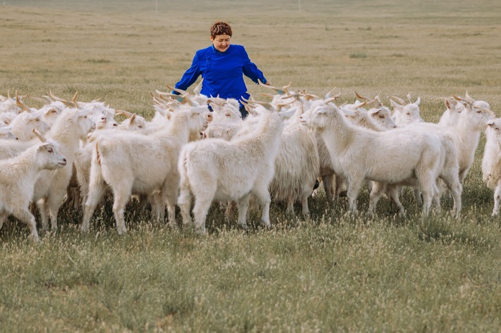 The Good Cashmere Standard Boosts Level of Animal Welfare and Transparency
