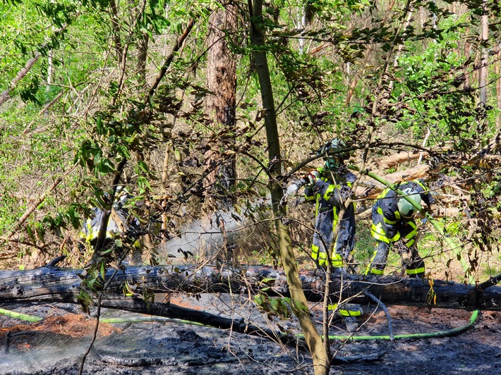 FW-Dorsten: Waldbrand in den heutigen Mittagsstunden