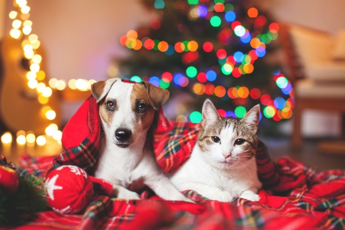 Tierisch sichere Weihnachten