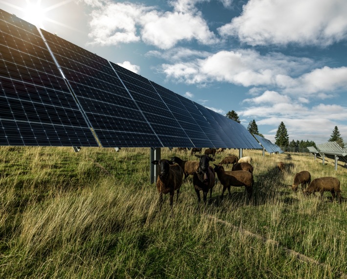 Mont-Soleil devient un centre de compétences pour les technologies intelligentes / Mont-Soleil - La montagne intelligente