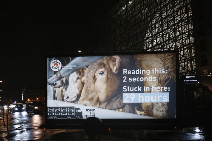 Action à Bruxelles : 29 heures de souffrance des animaux au cœur de l