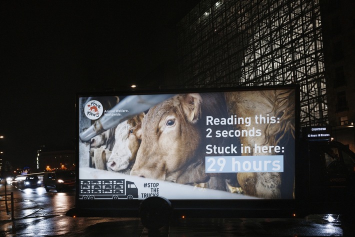 Action à Bruxelles : 29 heures de souffrance des animaux au cœur de l&#039;Europe