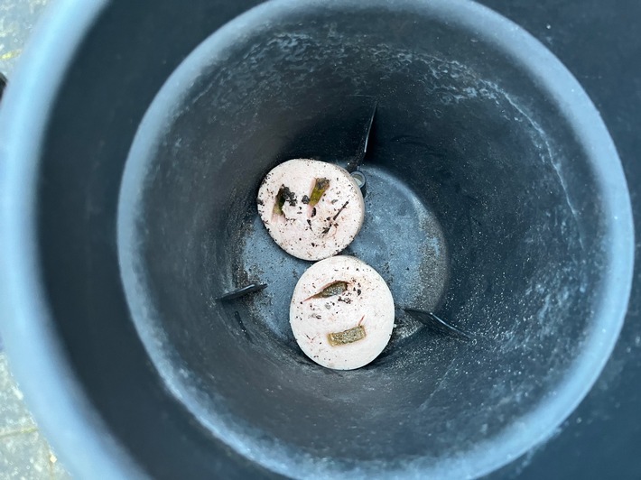 POL-SO: Hundeköder auf Grünstreifen ausgelegt