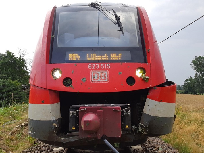 BPOL-HRO: Regionalbahn kollidiert mit Baum