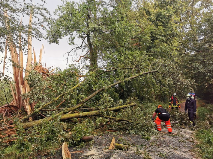 FW-WRN: TH_1 - LZ1 - LZ3 - LG4 - Wasser im Keller, Baum auf Straße, ausgelöste Brandmeldeanlage