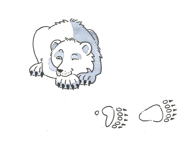 Kinder-Workshop "Bär" im Naturmuseum SO