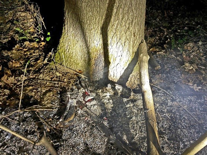 POL-ME: Wahrscheinliche Brandlegung in einem Waldstück - Erkrath - 2105062