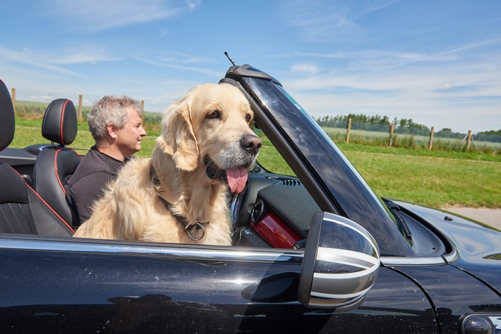 Hund im Auto: Unbedingt den Vierbeiner sichern / ADAC Testfahrten zeigen: Bei einem Unfall werden ungesicherte Tiere zur unkalkulierbaren Gefahr/ Risiko auch für Unfallhelfer