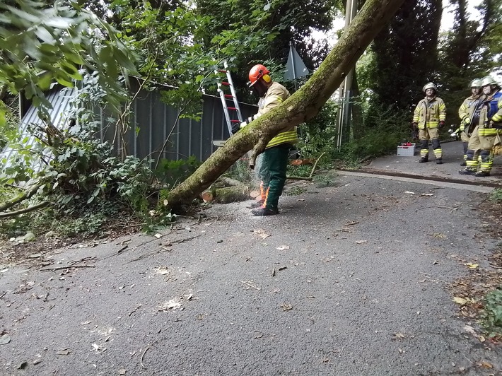 FW Weinheim: Feuerwehr Weinheim beseitig umgestürzten Baum Am Bischof