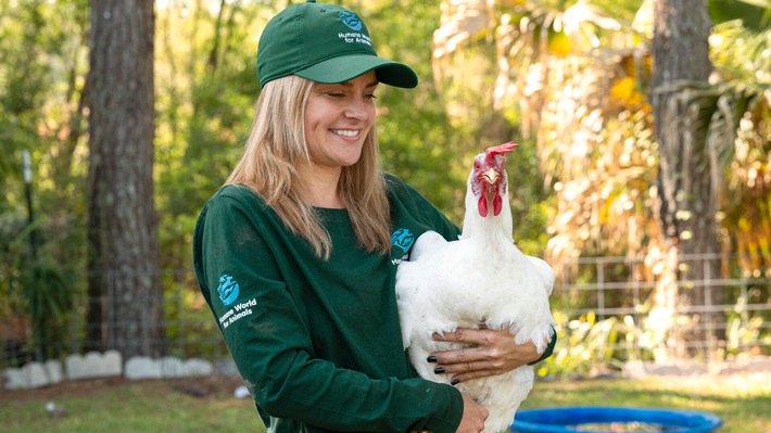 Mandat für Tiere: Petition fordert Bundesregierung zum Handeln auf / Humane World for Animals Tierschutz-Barometer 2026 zeigt klare Leistungslücke der Bundesregierung beim Tierschutz