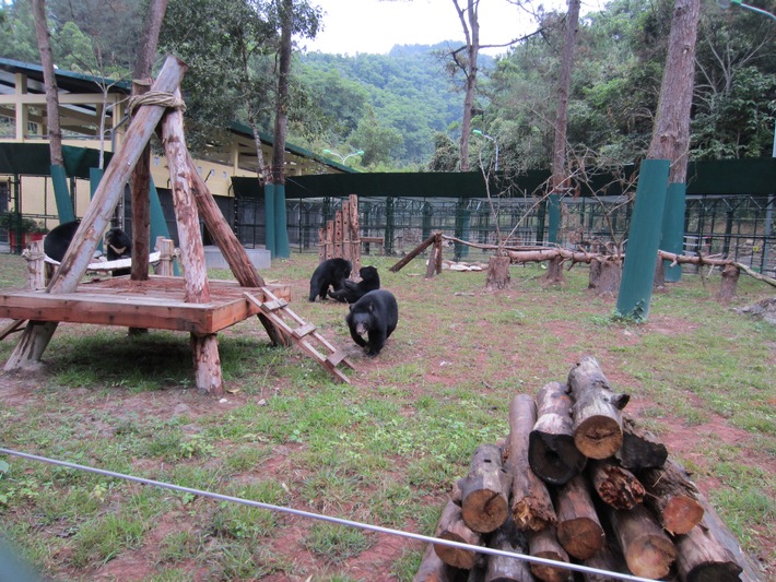 Vietnamesisches Rettungszentrum für Bären vor Ausweisung gerettet