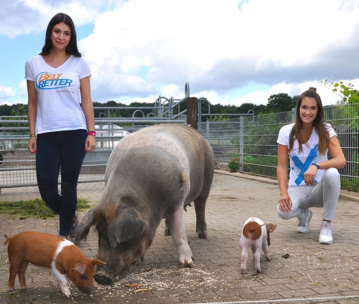 BELTRETTER fördern "Dänische Protestschweine"