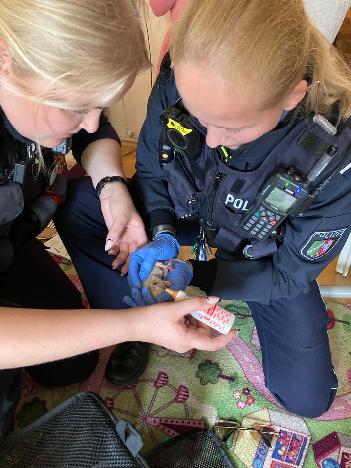 POL-ME: Polizei rettet Katzenbaby aus Wohnung - Heiligenhaus - 2307063