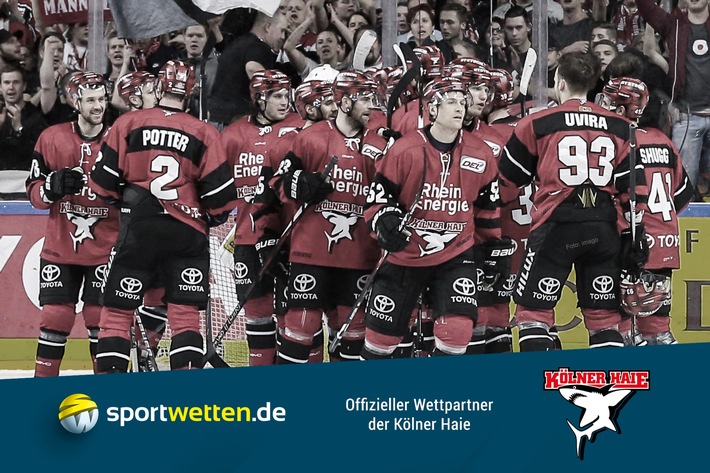 sportwetten.de wird offizieller Wettpartner der Kölner Haie