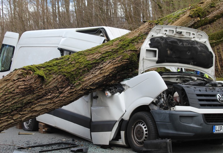 POL-LIP: Detmold-Heiligenkirchen. Schwerverletzter durch umstürzenden Baum.