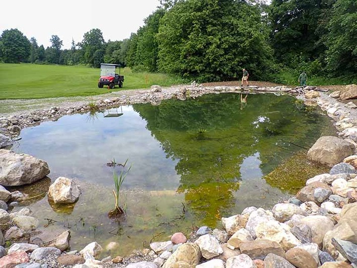 PM: Wie der Golfsport zur Artenvielfalt beitragen kann – Kooperation für den Amphibienschutz mit dem Golfclub Chieming e. V.