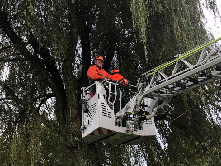 FW-KLE: Achtung, Baum fällt! - Ausbildung an der Motorsäge bei der Freiwilligen Feuerwehr Bedburg-Hau