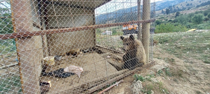 Albanien: Der kommerzielle Wildtierhandel ist weiterhin ausser Kontrolle