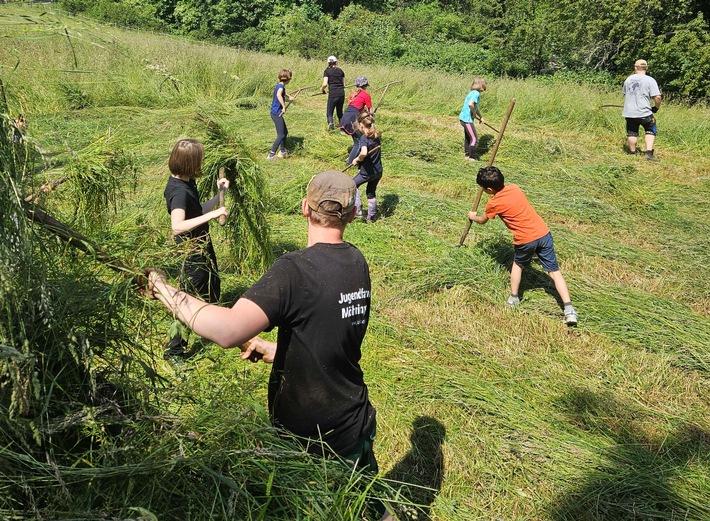 Presse-Information: Jugendfarmverein gewinnt beim Naturschutzwettbewerb „Unsere Heimat & Natur“
