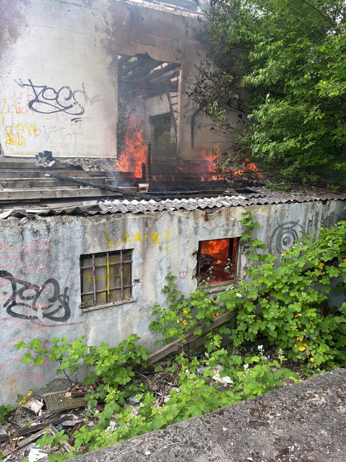 FW Düren: Brandserie in alter Gärtnerei-Ruine: Feuerwehr zum zweiten Mal binnen Tagen im Einsatz