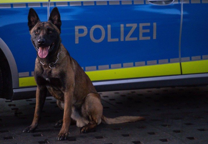 POL-HH: 221118-4. Polizei nimmt mutmaßliche <a href=