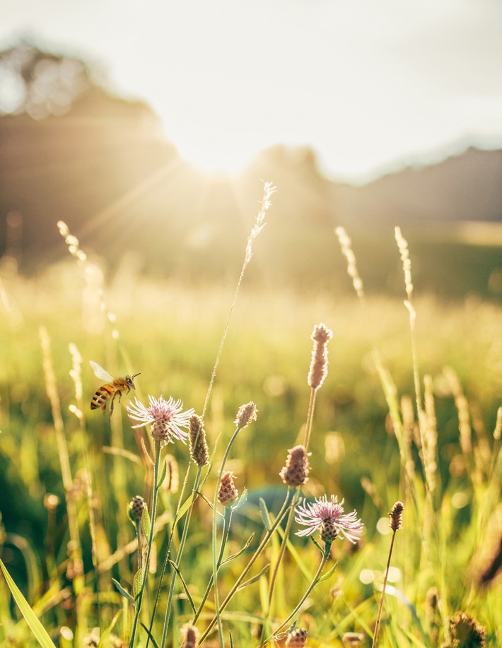 380 000 seniors négligent leurs problèmes d