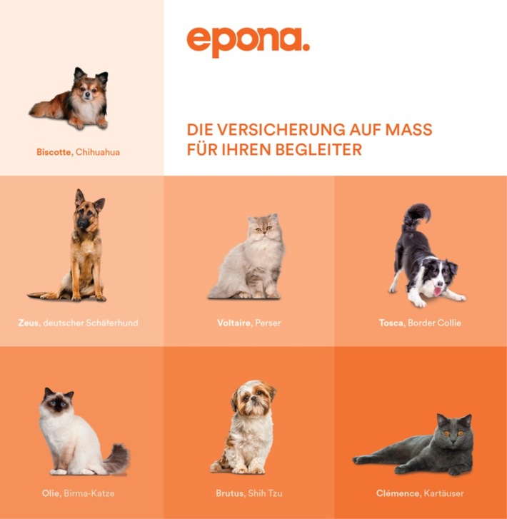 Epona, die führende Schweizer Tierversicherung, hält diesen Sommer eine grosse Innovation bereit!