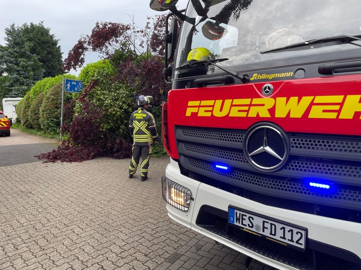 FW Hünxe: Baum blockiert Straße
