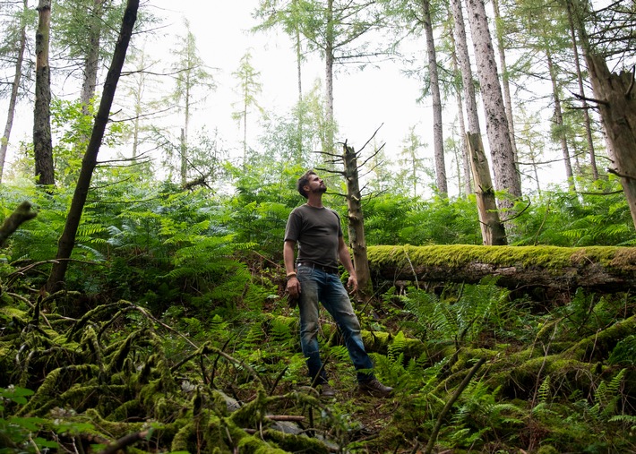 Wie kann die Lunge unserer Erde gerettet werden? Der "Green Seven Report: Unser Wald brennt!" sucht nach Antworten - am Montag, 21. September, 20:15 Uhr auf ProSieben